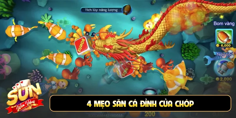 4 mẹo săn cá đỉnh của chóp