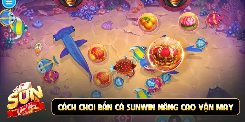 Cách chơi bắn cá Sunwin nâng cao vận may